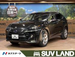 NX NX300h バージョンLの中古車画像