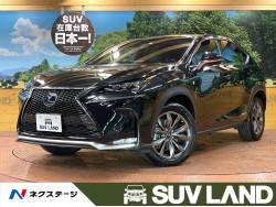 NX NX300h Fスポーツの中古車画像