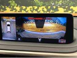 ＲＸ ＲＸ３００ Ｆスポーツの中古車画像