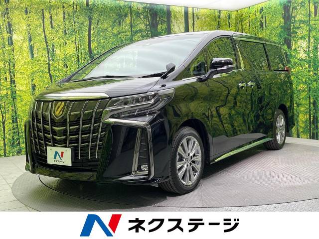 ヤンニョム アルファード 30系 タイプゴールド アルミ 3 ヤンニョム