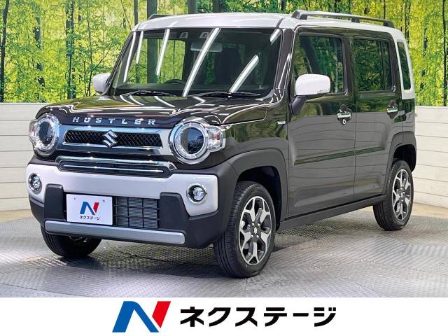 スズキハスラー ハスラー / ハスラー タフワイルド｜スズキ