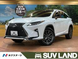 RX RX300 Fスポーツの中古車画像