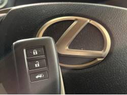 ＮＸ ＮＸ３００の中古車画像