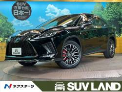 RX RX300 Fスポーツの中古車画像