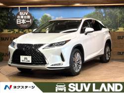 RX RX300 バージョンLの中古車画像