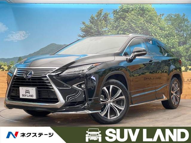 RS-R レクサス RX450h GYL20W バージョンL ダウンサス RS-R レクサス RX450h GYL20W バージョンL ダウンサス