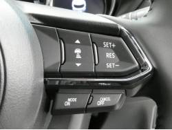 ＣＸ－８ ２５Ｓの中古車画像