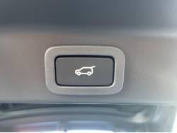 Ｆペイス Ｒ－スポーツの中古車画像