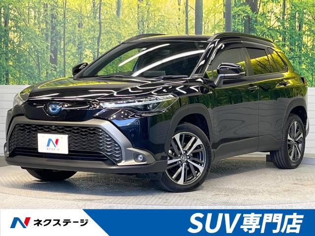 CORONA 2020年　中古 CORONA 2020年 中古 【公式通販】