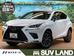 NX NX300 特別仕様車 クール&ブライトの中古車画像