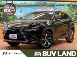 NX NX300 バージョンLの中古車画像