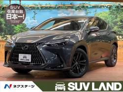 NX NX250 バージョンLの中古車画像