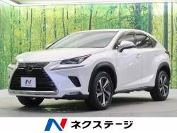 NX NX300 バージョンLの中古車画像