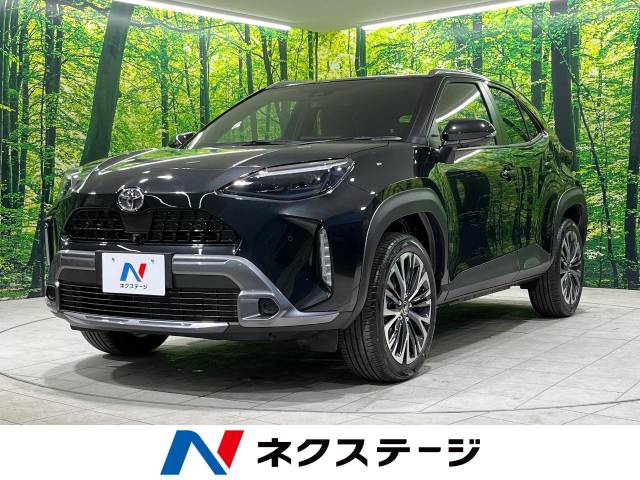 グロス10本 チークやシャドウにも使えるマルチグロス10本セットが付録だと