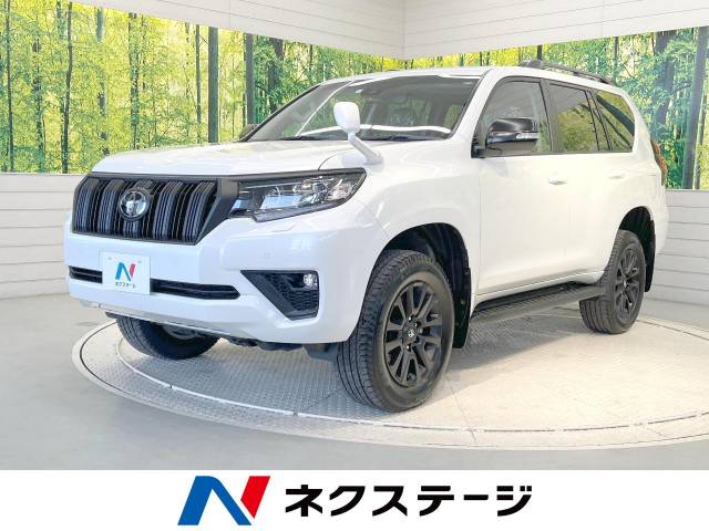 プラド フォグベゼル 左右 点灯OK PIAA ピア 汎用 マルチコート
