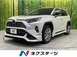 RAV4 G Zパッケージの中古車画像