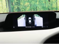 ＭＡＺＤＡ３ファストバック １５Ｓ １００周年特別記念車 ２０２０ＷＣＤＯＴＹ受賞記念モデルの中古車画像