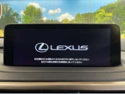 ＲＸ ＲＸ３００ バージョンＬの中古車画像