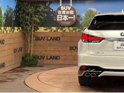 ＲＸ ＲＸ３００ バージョンＬの中古車画像