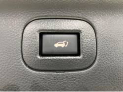 エルグランド ライダー ブラックラインの中古車画像