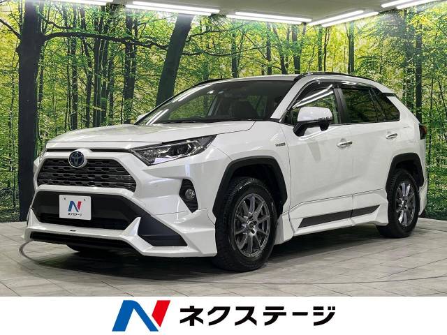 みんと トヨタ 50 RAV4 オプション TRD 20インチ 鍛造 アルミ ホイール TFX