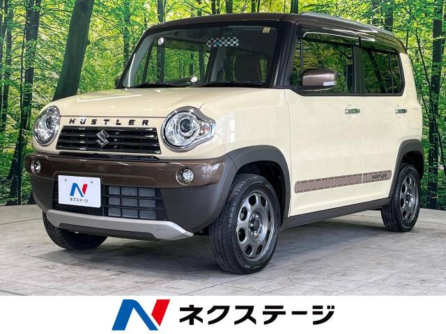 スズキ ハスラー ワンダラー 0.6万Km (群馬県)[538]の中古車詳細