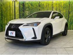 ＵＸ ＵＸ２５０ｈの中古車画像