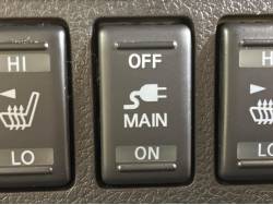 エルグランド ＶＩＰの中古車画像