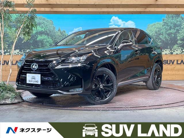 レクサスnx200t Urban Style YOKOHAMA225/60R18 しゃべり