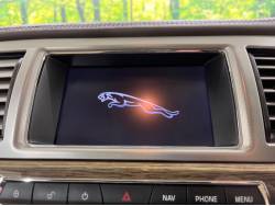 ＸＦ ダイナミックエディションの中古車画像