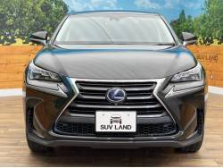 ＮＸ ＮＸ３００ｈの中古車画像