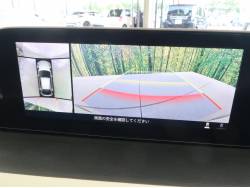 ＭＡＺＤＡ３ファストバック ２０Ｓ １００周年特別記念車の中古車画像