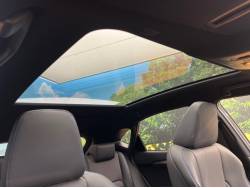 ＮＸ ＮＸ３００ 特別仕様車 クール＆ブライトの中古車画像