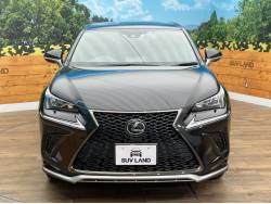 ＮＸ ＮＸ３００ 特別仕様車 クール＆ブライトの中古車画像