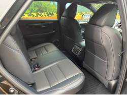 ＮＸ ＮＸ３００ 特別仕様車 クール＆ブライトの中古車画像