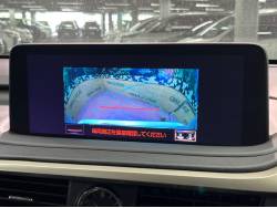 ＲＸ ＲＸ３００の中古車画像