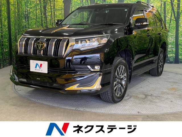 頭踏み　エロ トヨタ ランドクルーザープラド ＴＸ Ｌパッケージ 0.7万Km (愛知県)[565]の中古車詳細｜愛知県の４１号小牧店｜中古車の【ネクステージ】
