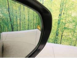 ＮＸ ＮＸ２５０の中古車画像