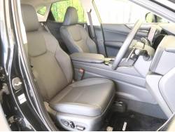 ＮＸ ＮＸ２５０の中古車画像