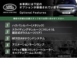 ディスカバリー Ｓ Ｄ３００の中古車画像