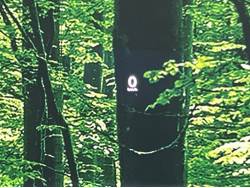 ＭＡＺＤＡ３ファストバック ＸＤプロアクティブ ツーリングセレクションの中古車画像