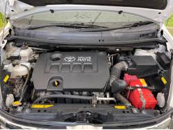 アイシス プラタナ Ｖセレクション・ブランの中古車画像