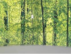 ＭＡＺＤＡ３ファストバック １５Ｓの中古車画像