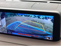 ＲＸ ＲＸ３００ 特別仕様車 エレガントツアラーの中古車画像