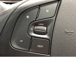 ＤＳ５ シックの中古車画像