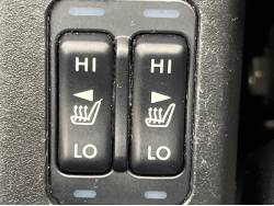 フォレスター ２．０ＸＳ プラチナセレクションの中古車画像