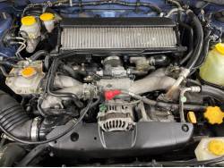 フォレスター ＸＴ ＷＲ－リミテッド ２００４の中古車画像