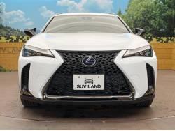 ＵＸ ＵＸ２５０ｈ 特別仕様車 Ｆスポーツ スタイルブルーの中古車画像