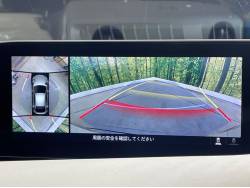 ＭＡＺＤＡ３ファストバック １５Ｓ １００周年特別記念車の中古車画像