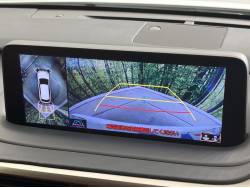 ＲＸ ＲＸ３００ Ｆスポーツの中古車画像